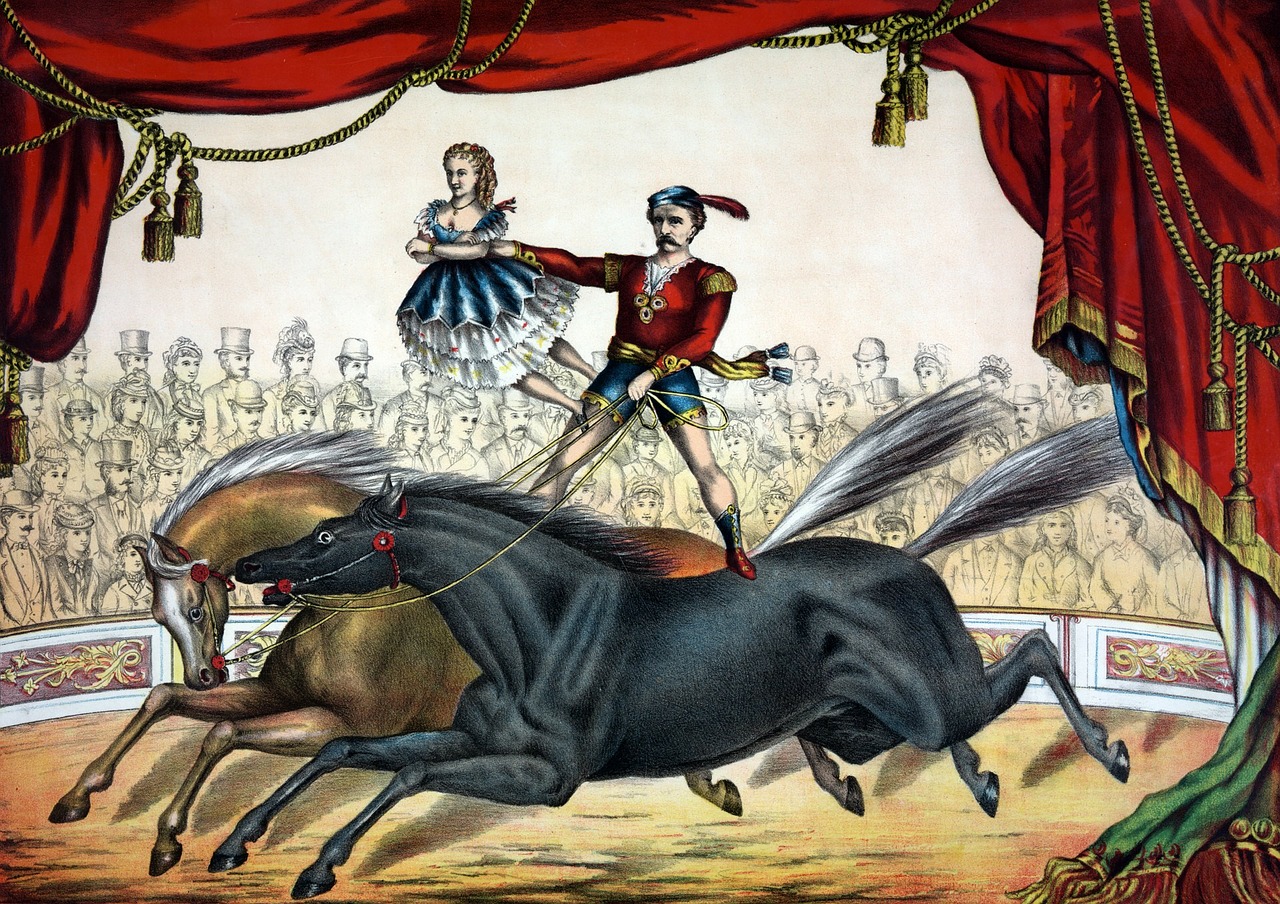 Old drawing of a circus acrobat riding with one leg on one horse and another leg on another.