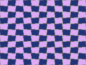 A graphic image of purple and blue alternating squares with the lines in between the squares shaded different colors, making the parallel lines appear crooked