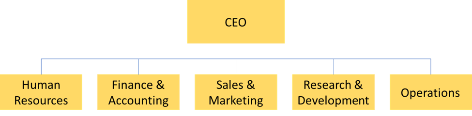 Organizational chart with the CEO at the top and then the following functional areas in the level below: Human Resources, Finance & Accounting, Sales & Marketing, Research & Development, and Operations.
