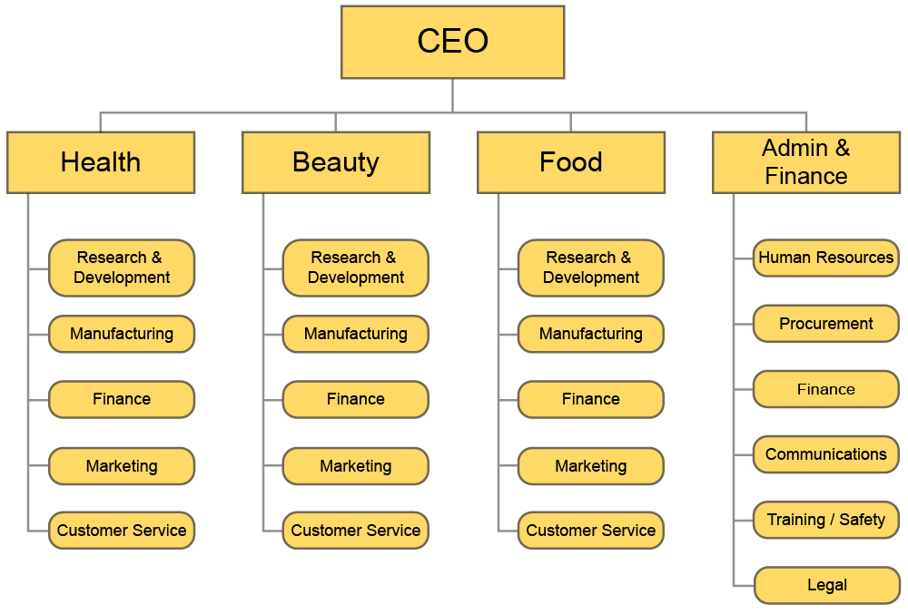 An organizational chart with the CEO at top, and three product departments (Health, beauty, and food), and the admin and finance department below. Below each of the product departments are the same five product divisions: Research & Development, Manufacturing, Finance, Marketing, and Customer Service. Below the admin and finance department are the following divisions: Human Resources, procurement, finance, communications, training and safety, and legal.