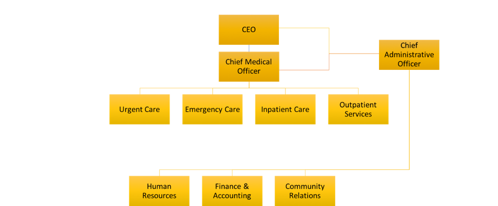 An organizational chart with the CEO at top, and Chief Medical Officer and Chief Administrative Officer below the CEO. Below these positions are several hospital departments. The Chief Medical Officer is above Urgent Care, Emergency Care, Inpatient Care, and Outpatient Services. The Chief Administrative Officer is above Human Resources, Finance & Accounting, and Community Relations.