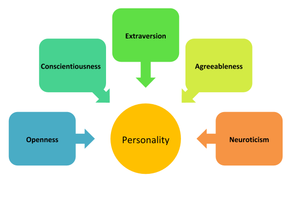 A circle at the center, with the big five personality traits of openness, conscientiousness, extraversion, agreeableness, and neuroticism surrounding it in their own boxes. Each box has an arrow pointing to personality.