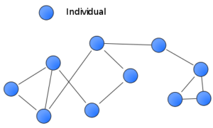 A bunch of blue circles connected by various lines.