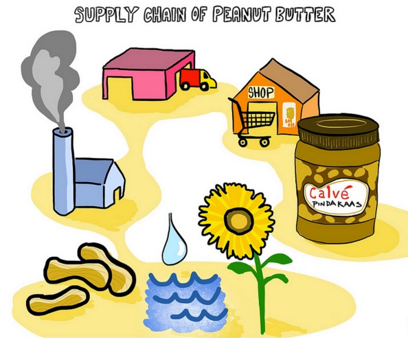 Supply Chain of Peanut Butter. Illustration shows a flower and a pool of water which leads to peanuts, which leads to a a farm with a smokestack, which leads to a warehouse, which leads to a grocery store, which leads to and a jar of peanut butter.