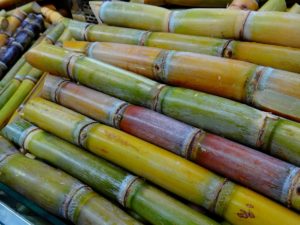 Image of a pile of cut sugar cane. Yellow, green, and red sugar cane stalks stacked on top of each other.