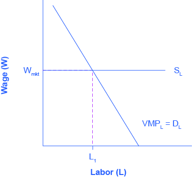 The graph shows the Marginal Product of Labor. The x-axis is Labor. The y-axis is Wage. The curve proceeds from right to left in a downward direction. A horizontal line indicating the going market wage projects from about halfway up the y-axis. Where the curve and the horizontal line meet, it is point L1. The caption provides context.