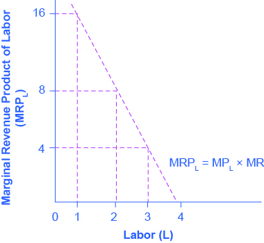 Graph showing marginal revenue product of labor on the y-axis and labor on the x-axis. The line slopes downward, passing through (1, 16) and (3,4)