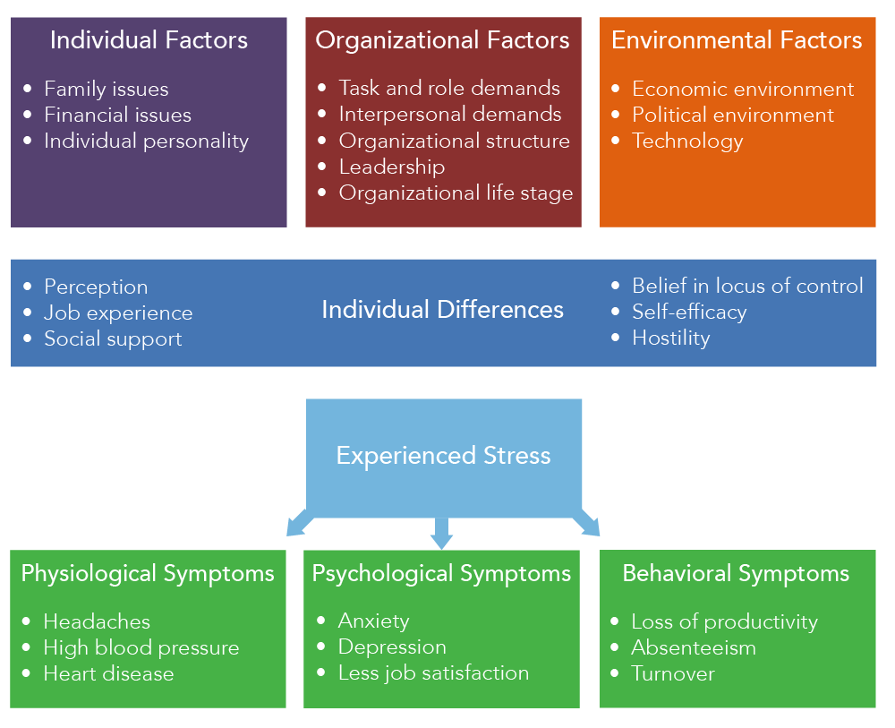 Chart mapping out the various factors of stress, individual differences, and how people experience stress. There are three types of factors of stress: Individual, Organizational, and Environmental. The individual factors of stress listed are family issues, financial issues, and individual personality. The organizational factors of stress listed are task and role demands, interpersonal demands, organizational structure, leadership, and organizational life stage. The environmental factors of stress listed are economic environment, political environment, and technology. The chart then lists individual differences, which impact how people experience stress. These differences are perception, job experience, social support, belief in locus of control, self-efficacy, and hostility. The chart then maps out different symptoms of stress, which are separated into three categories: physiological symptoms, psychological symptoms, and behavioral symptoms. The physiological symptoms of stress listed are headaches, high blood pressure, and heart disease. The psychological symptoms of stress listed are anxiety, depression, and less job satisfaction. The behavioral symptoms of stress listed are loss of productivity, absenteeism, and turnover.