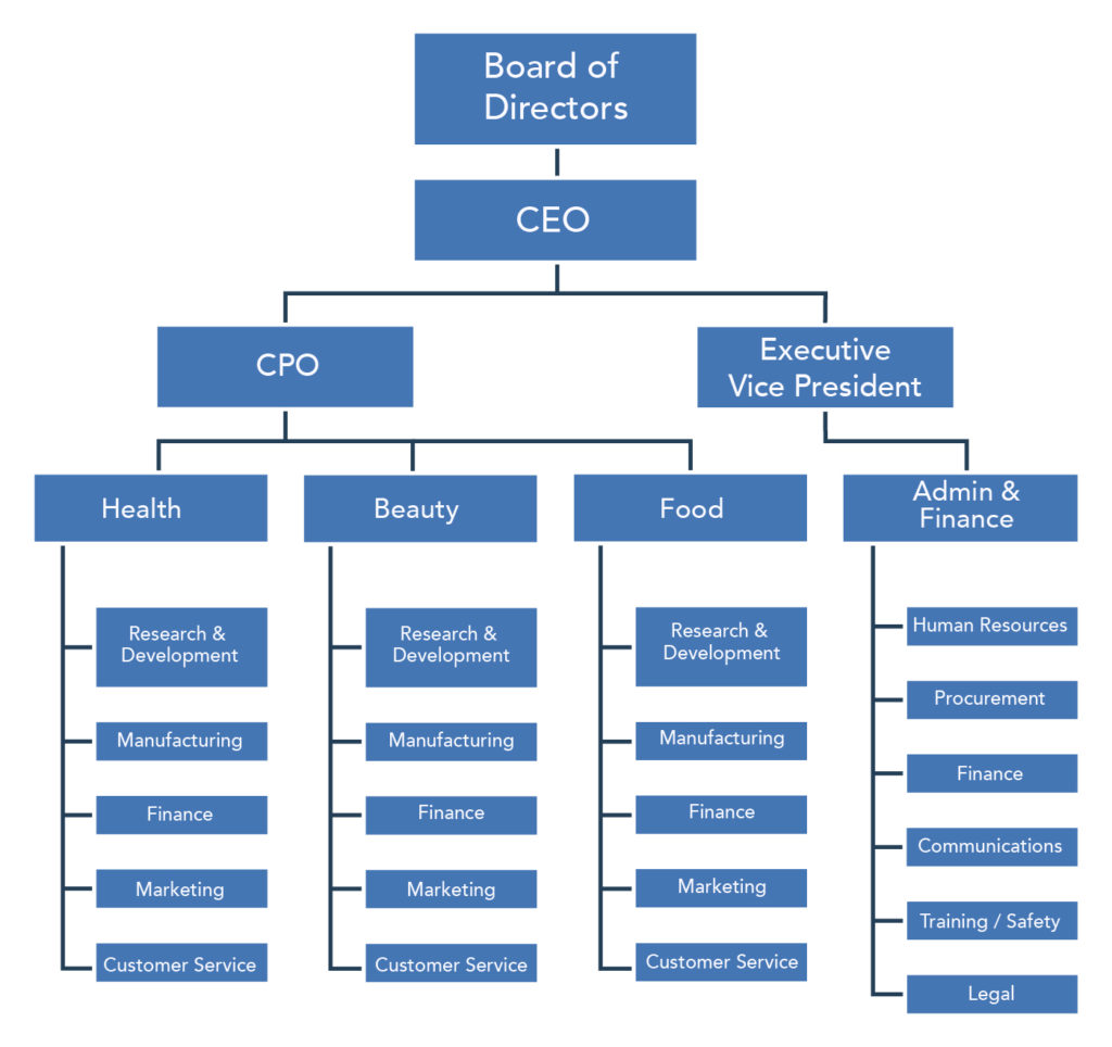 A bureaucratic organizational structure with four departments, each having several components, reporting to department managers, which in turn report to two executive vice presidents who report to the CEO who reports to the board of directors