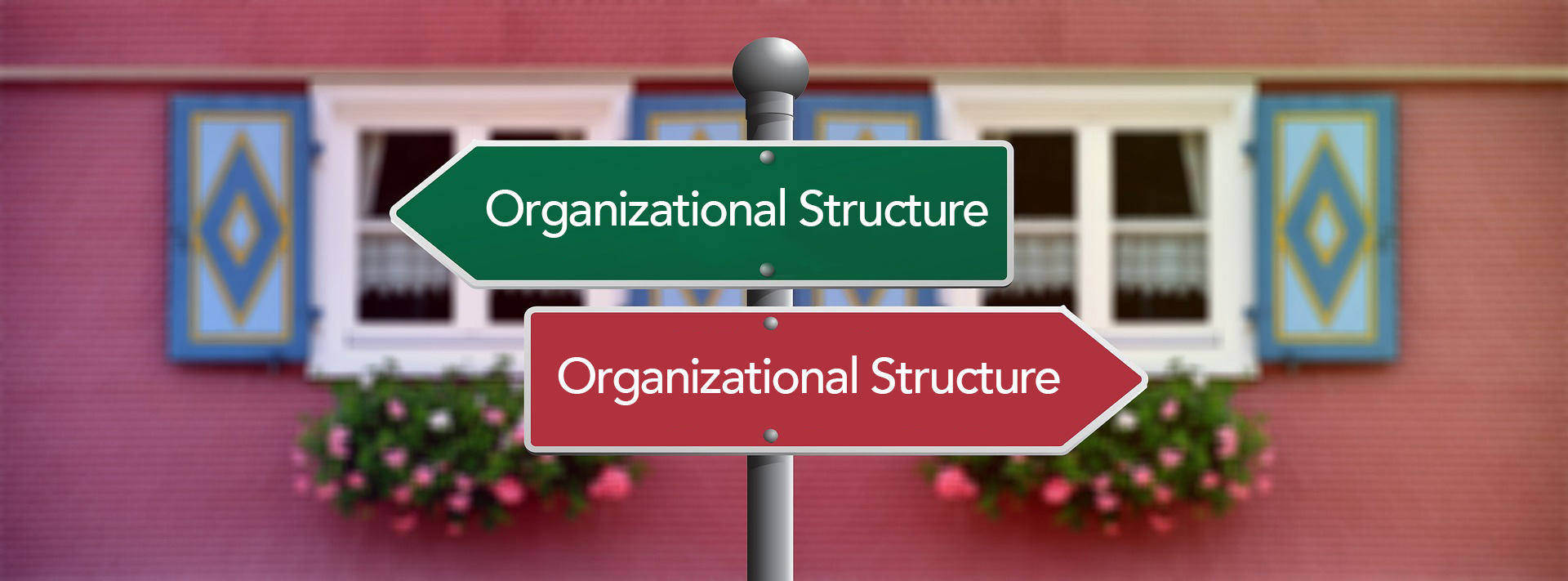 A sign post with two signs pointing in opposite directions. Each sign reads "Organizational Structure"