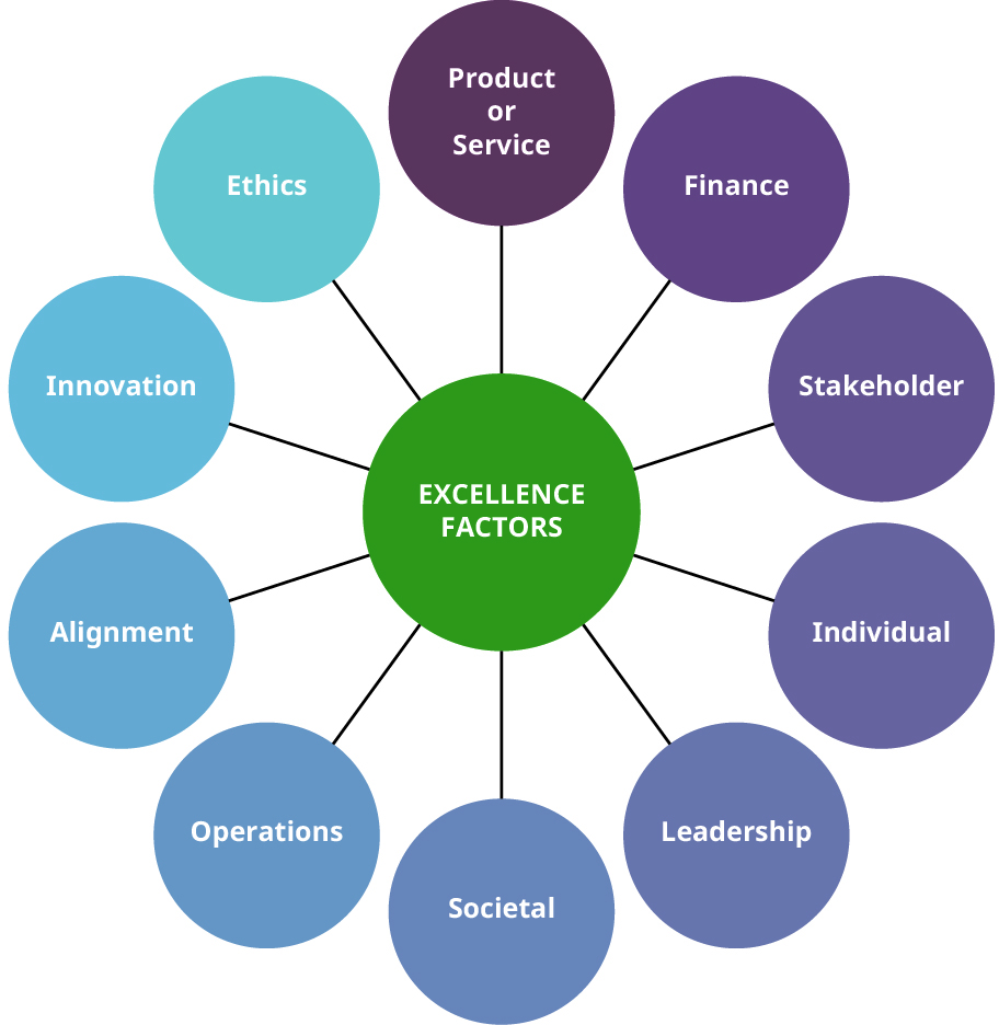 Excellence factors require attention to many factors: stakeholders, individuals, leadership, society. operations, alignment, innovation, ethics, products and services and finance