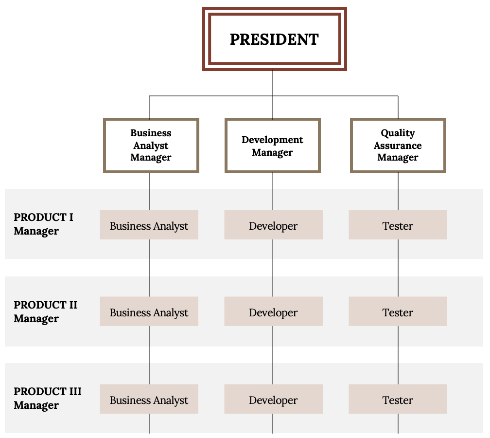 Flow chart of an organizational structure. 'President' is at the top. Three boxes beneath the President: Business Analyst Manager, Development Manager, Quality Assurance Manager. To the left are 3 horizontal rows indicating Product I Manager, Product II Manager, anf Product III Manager. In each of these horizontal rows are a business analyst, developer, and tester.