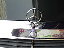 Photo of the Mercedes-Benz hood emblem—a silver ring trisected in the middle.