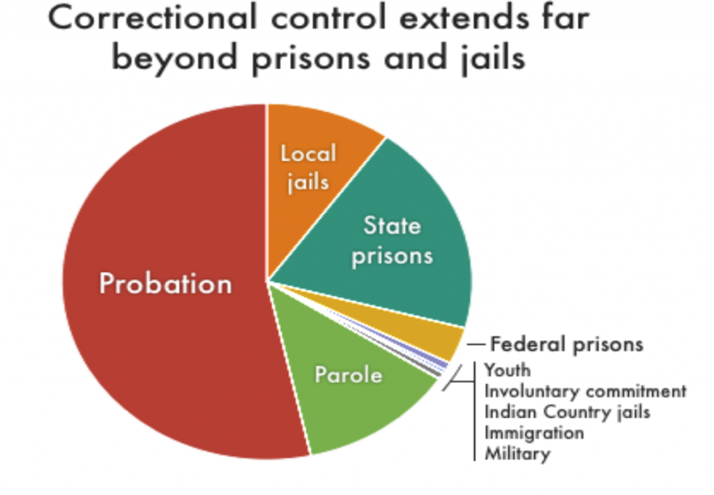 pie chart of correctional control
