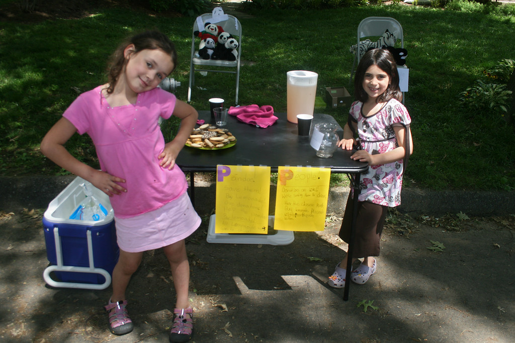 girls at their lemonade stand