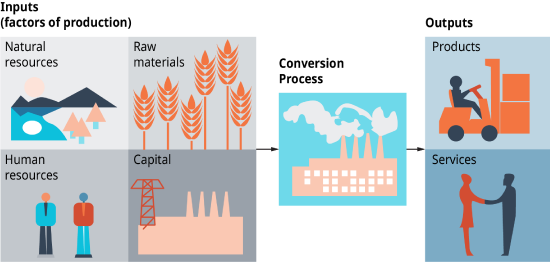 Production Process for Products and Services. The diagram shows that inputs, which are factors of production, include the following: natural resources, human resources, raw materials, and capital. A conversion process takes place, which produces outputs which are products and services. Another way of saying this is that the Production Process for Products and Services converts inputs of natural resources, raw materials, human resources, and capital, into products and services.