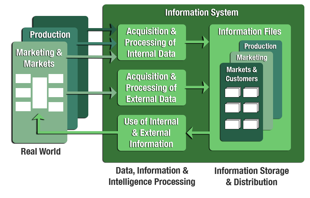 The Idea of Information Systems