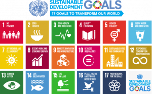 UN SDGs listed as a poster