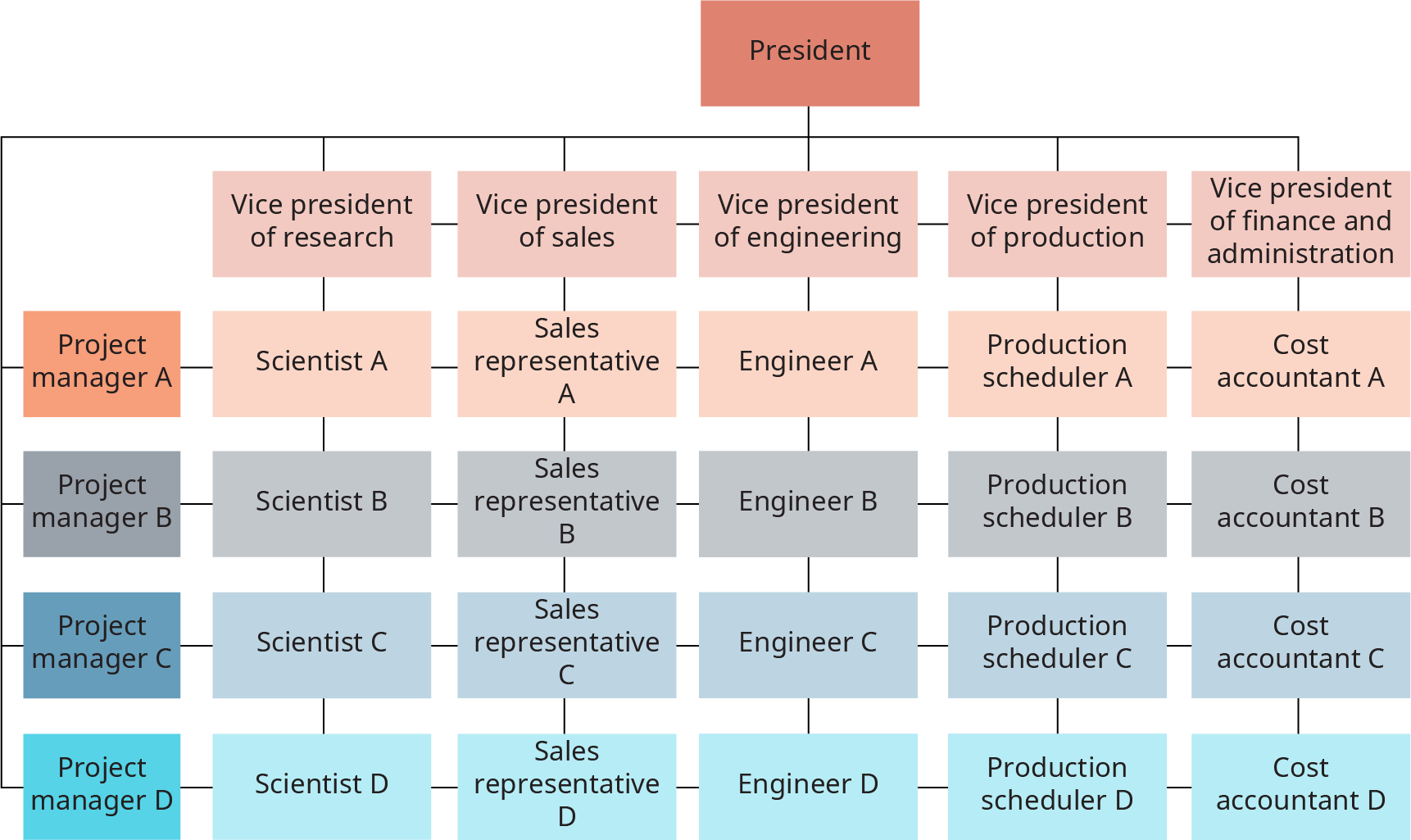 矩阵由 5 列和 4 行组成。 矩阵的顶部是总统；总统的线条延伸到每列和每行。 这些行从上到下都标有 “项目经理 A 和项目经理 B”、“项目经理 C” 和 “项目经理 D”。从左到右，这些列分别标记为研究副总裁兼销售副总裁、工程副总裁、生产副总裁和副总裁财务和行政总裁。 从左到右，第一行中的单元格显示为：科学家 A 和销售代表 A、工程师 A、生产调度员 A 和成本会计师 A。每行都有相同的结构，科学家在 v p 的研究之下；销售代表低于 v p，工程师 v p生产调度员在生产部的 v p 之下，成本会计师在财务和管理员的 v p 之下。