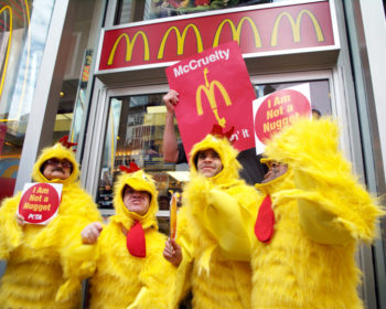 Photo of four "little people" (members of a group called the Centerfold Stripper Midgets) wearing chicken suits, protesting against animal cruelty in front of a McDonald's. Two hold signs that read, "I am not a nugget."