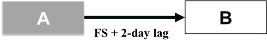 Finish-to-Start relationship with a 2-day lag