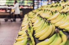 Rows of bananas in a grocery store