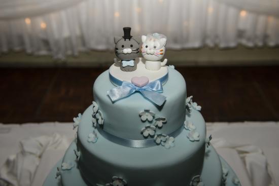 Photo of blue wedding cake. Two figurines, a black cat and a white cat, sit on the top.