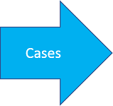 4: Cases