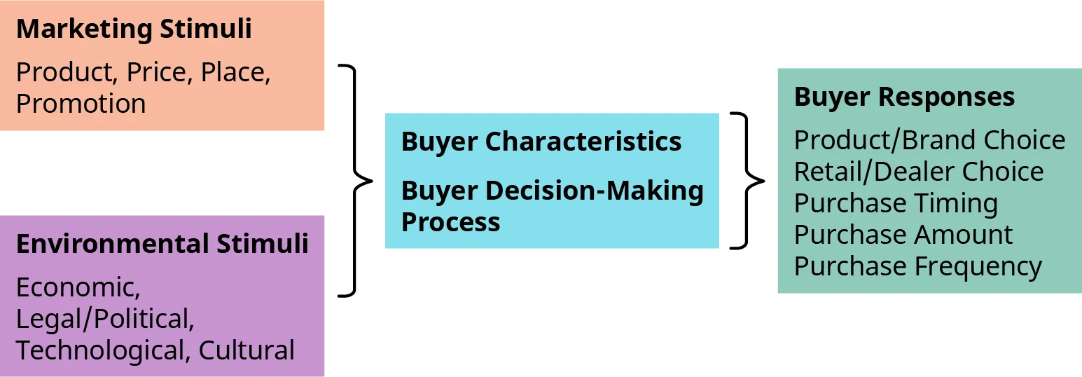 Marketing stimuli (Product, Price, Place, and Promotion) and Environmental stimuli (Economic, Legal Political, Technological, and Cultural) affect your buyer characteristics and buyer decision-making process. The outcome of this thinking is your buyer response, which includes product or brand choice, retailer or dealer choice, purchase timing, purchase amount, and purchase frequency.
