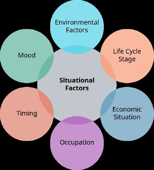 Situational factors that affect consumer buying behavior are: environmental factors, life cycle stage, economic situation, occupation, timing, and mood.