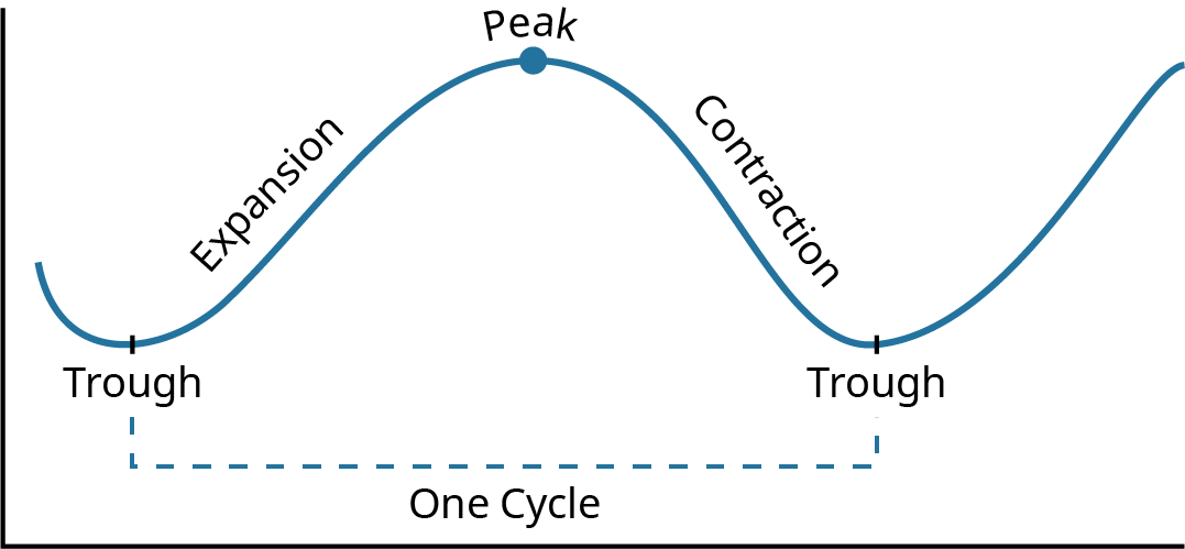 A line graph shows the stages of business . The line starts low on the graph. This is labelled the trough. The line slopes upward until it hits its highest point. The uplward slope of the line is labelled the expansion and the highest point is labelled the peak. The line then slpes downward until it reaches another low point. The downard slope is labelled the contrraction and the low point is labelled the trough. There is a dotted line going from the first trough to the second; this dotted line is labelled one cycle.