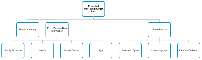 An organizational chart of the factors influencing a budget. The top-level factors are one's Financial History, Micro Factors/New Information, and Macro Factors. Micro Factors is comprised of Family Structure, Health, Career Choice, and Age. Macro Factors is comprised of Economic Cycle, Unemployment, and Inflation/Deflation.