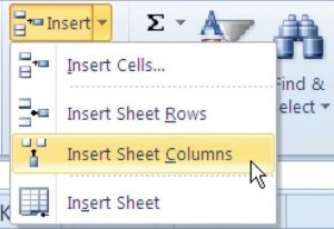 Insert Sheet Columns