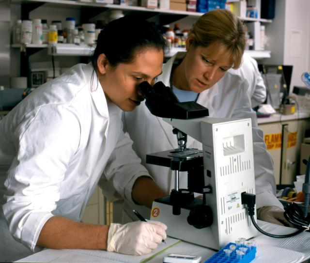 Foto de dos científicos; uno está mirando a través de un microscopio