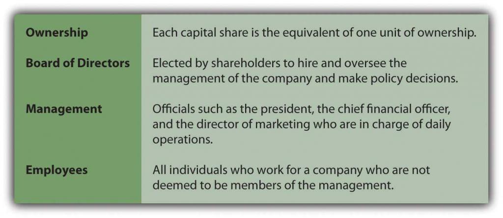 Company Operational Structure: Ownership (Each capital share is the equivalent of one unit of ownership); Board of Directors (Elected by shareholders to hire and oversee the management of the company and make policy decisions); Management (Officials such as the president, the chief financial officer, and the director of marketing who are in charge of daily operations); Employees (All individuals who work for a company who are not deemed to be members of the management)
