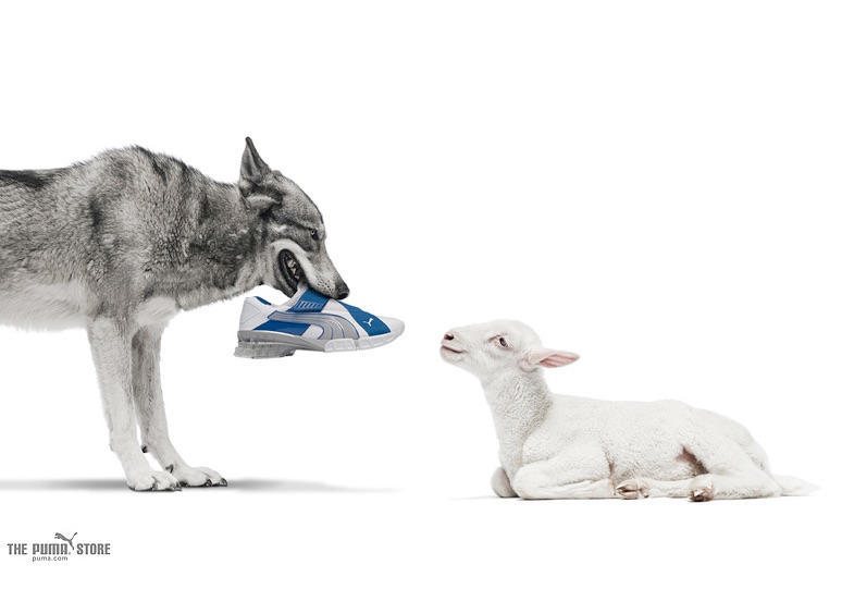 Advertisement for the Puma Store, in which a standing wolf and a lamb laying down look at each other, with the wolf offering the lamb a set of Puma sneakers from its mouth.