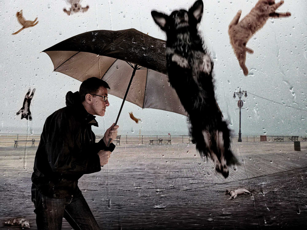 Un hombre escondido bajo un paraguas de los gatos y perros lloviendo del cielo.