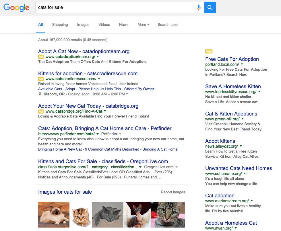 Captura de pantalla de una búsqueda en Google de la frase “gatos en venta”. Los resultados de Google incluyen varios sitios web de adopción de gatos y una selección de adorables imágenes de gatos. Algunos de los sitios web de adopción en la parte superior de los resultados de búsqueda están marcados como anuncios.